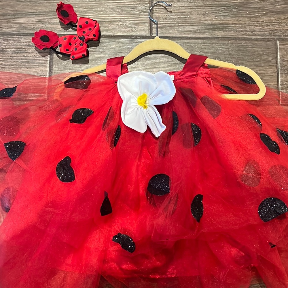 Custom little girl, ladybug, Halloween costume size 12 to 24 months